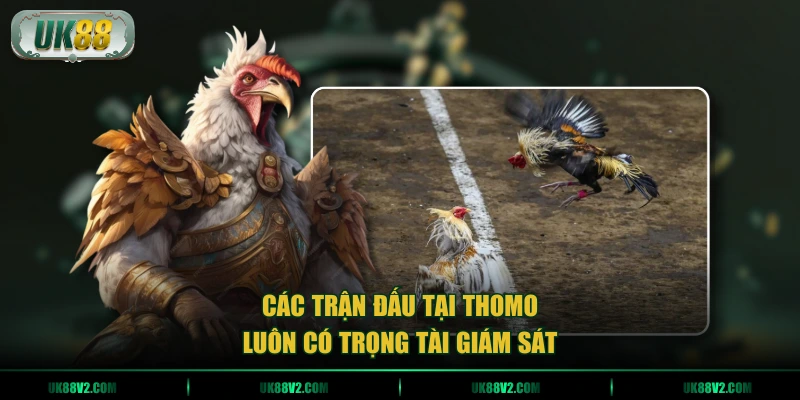 Các trận đấu tại Thomo luôn có trọng tài giám sát