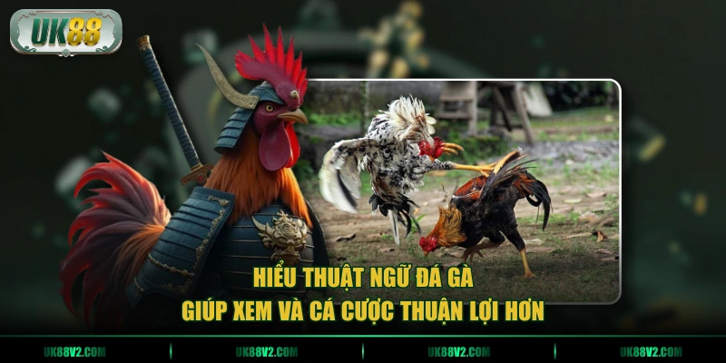 Hiểu thuật ngữ đá gà giúp xem và cá cược thuận lợi hơn