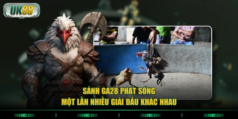 Sảnh GA28 phát sóng một lần nhiều giải đấu khác nhau