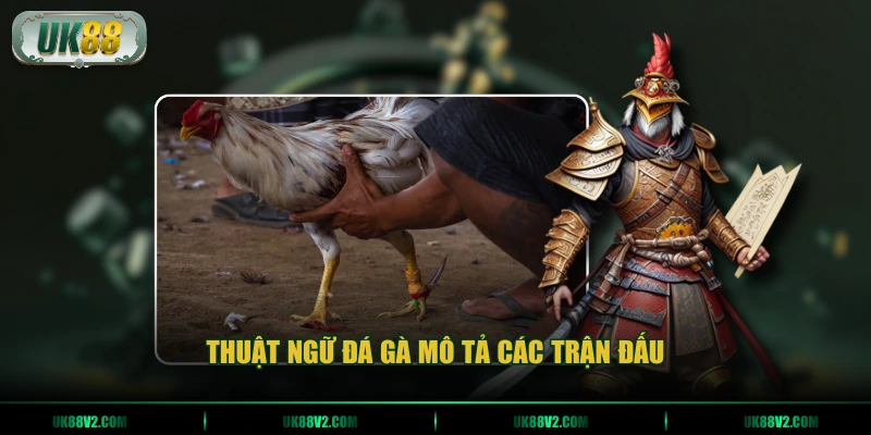 Thuật ngữ đá gà mô tả các trận đấu