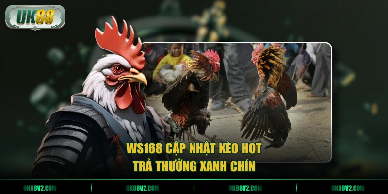 WS168 cập nhật kèo hot, trả thưởng xanh chín